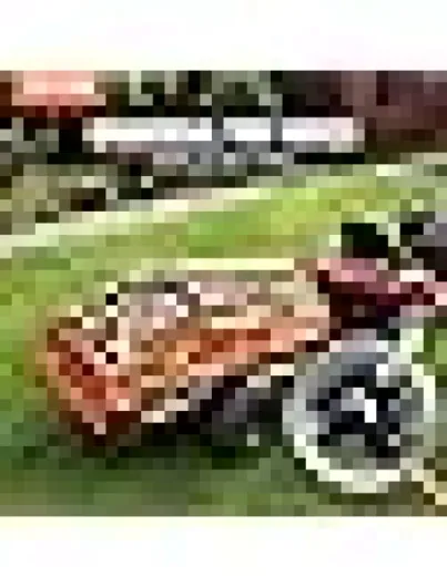 61n6HywljXL._SX38_SY50_CR,0,0,38,50_