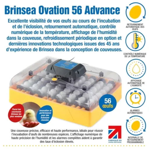 Test Brinsea Ovation 56 EX : la couveuse automatique qui simplifie vraiment le boulot