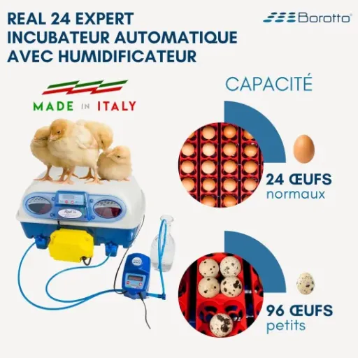 Avis Borotto Real 24 Expert : une couveuse sérieuse avec humidification automatique Sirio