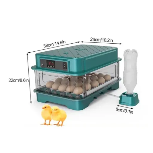 Avis Couveuse Œuf Automatique Professionnelle (30 œufs) : une incubatrice familiale simple et complète sur le papier
