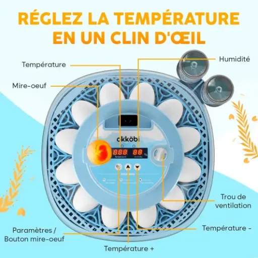 Avis Couveuse Oeuf Automatique 12 Oeufs OKKÖBI : une petite couveuse simple pour débutants et usage familial