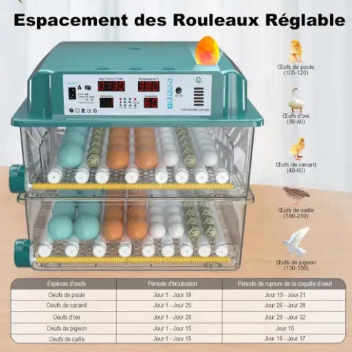 Avis Couveuse Oeuf Automatique 120CC : grosse capacité, fonctions auto et quelques limites pratiques
