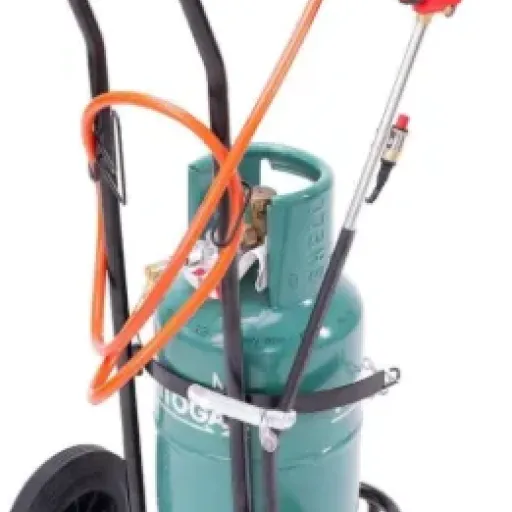 Avis PROWELTEK Désherbeur Thermique Pro : un kit gaz costaud pour grands jardins