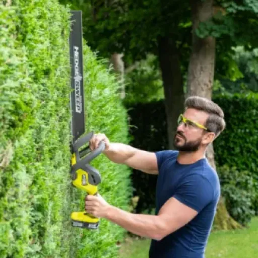 Avis Taille-Haies RYOBI 18V One+ RY18HT55A-120 : le sans-fil léger qui fait le job au jardin