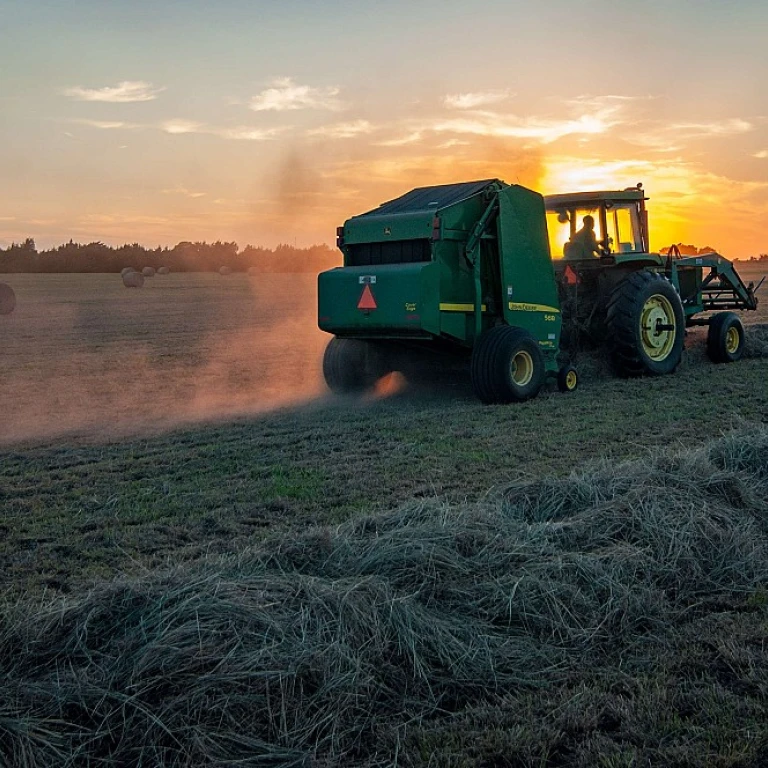 L'impact du désherbant glyphosate Radikal 5L en Espagne sur l'agriculture