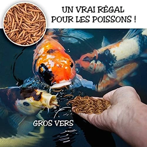 51VVjdV0VzL._AC_