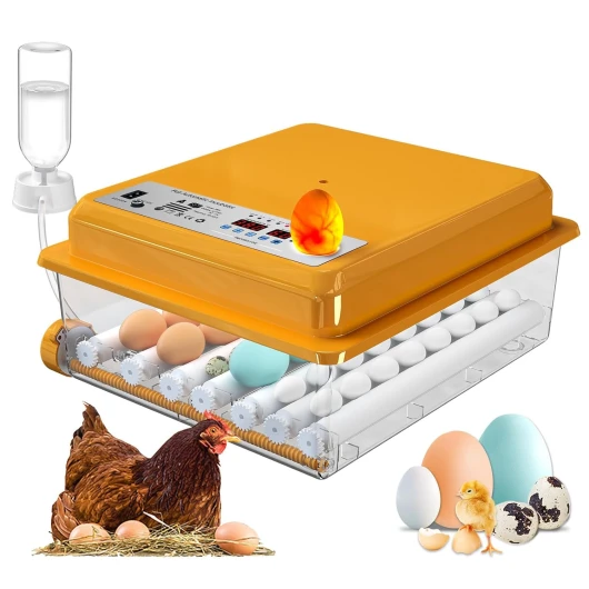 Couveuse Oeuf Automatique pour 36 œufs, Incubateur Oeuf Retournement Automatique des œufs et Ajout d'eau, Contrôle de la Température, Modes d'incubation Automatiques, Mire Oeuf Integré