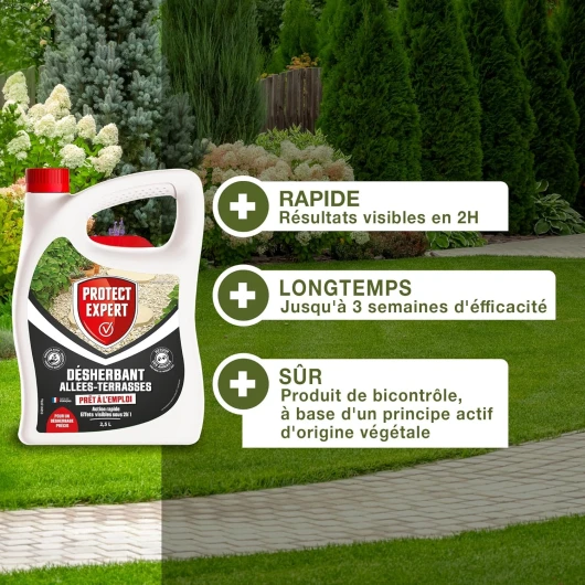 91hCB5cmg3L._SL1500_