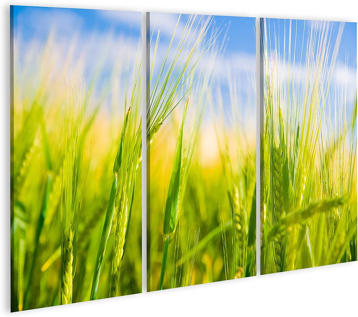 Islandburner Tableau sur Toile Paysage agricole ensoleillé de Champ de blé 98A Cadre Affiche Poster Murale Tableaux