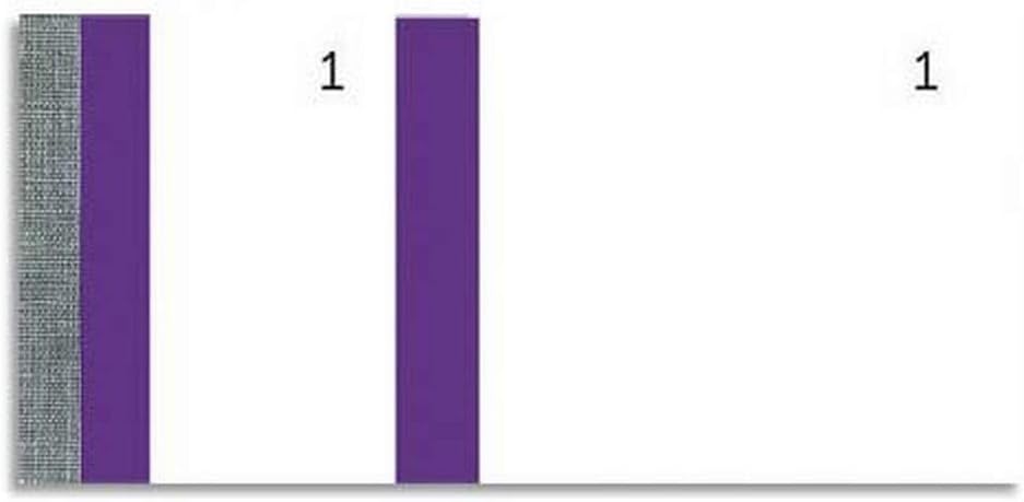 Réf - 96308E - Paquet de 10 blocs vendeurs 100 feuillets numérotés de 1 à 100 - 2 coupons 1 détachable - Pour kermesse, loterie, tombola - Format 6,6 x 13,5 cm - bande couleur - Violet