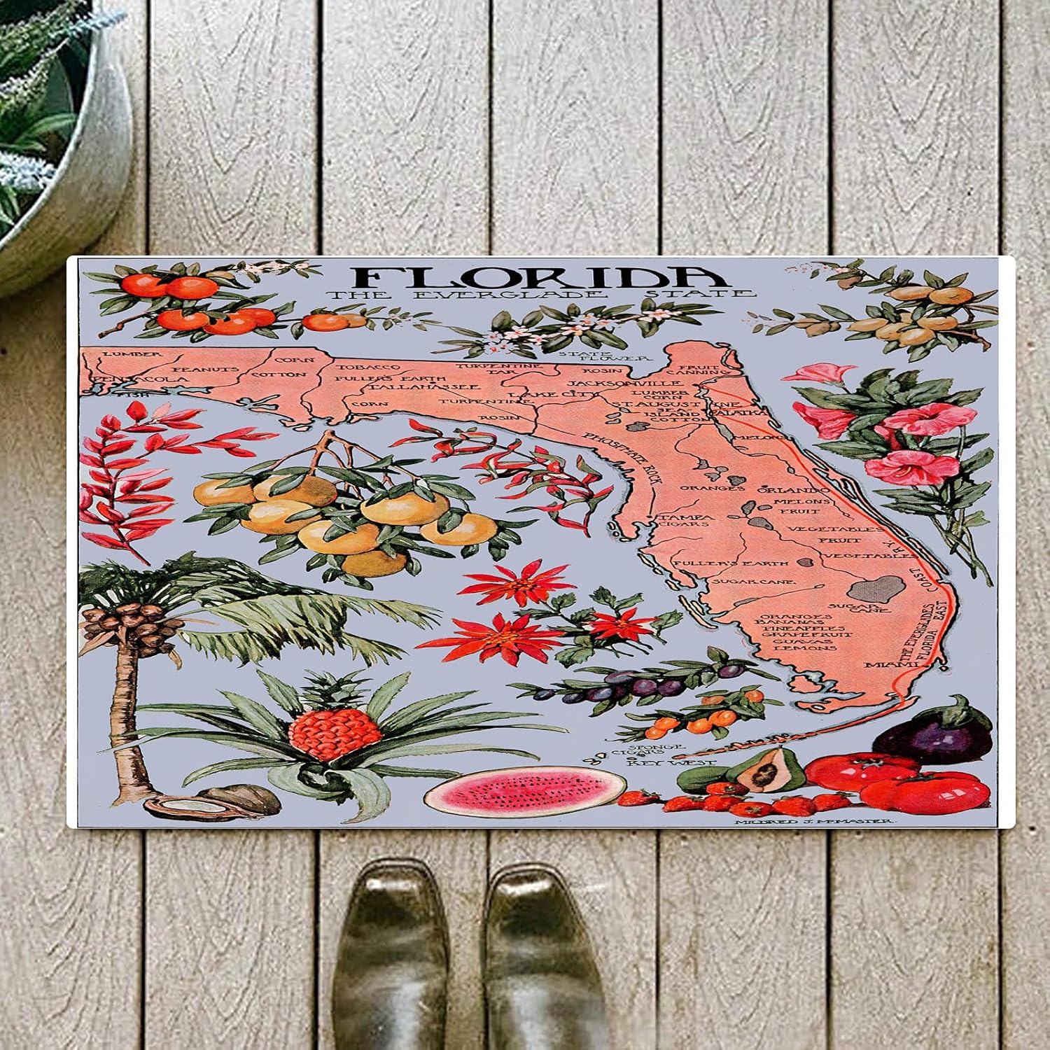 OHJEAJDS Tapis 60x100cm,Super Absorbant Sèche Rapide,Tapis de Bain pour Portes de Salle de Bain,Salon,Réimpression d'une Affiche de Voyage Vintage en Floride - Agriculture regio,