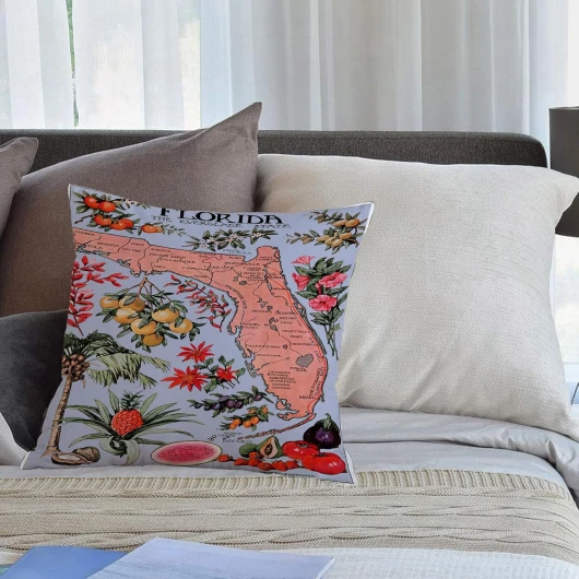 KHWEJ Taie d'oreiller 50x50 cm Imprimer Housse Coussin pour Maison Le Salon Taie Oreiller Réversible Housse de Coussin,Réimpression d'une Affiche de Voyage Vintage en Floride - Agriculture Regions up