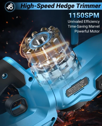 71lDG8uSXtL._AC_SL1500_