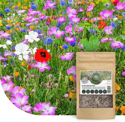 Mélange de fleurs sauvages annuelles et vivaces - 250g - 125 m² - 62 variétés de fleurs de jardin - Fleurs sauvages multicolores & riches en nectar - Attire les abeilles et les papillons