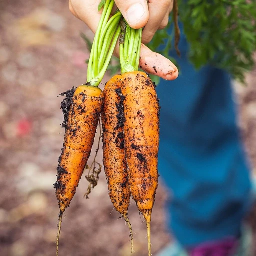 L'importance des piquets en châtaignier pour vos clôtures agricoles