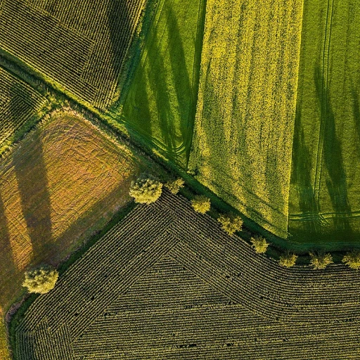 L'importance de la lame de faux dans l'agriculture moderne
