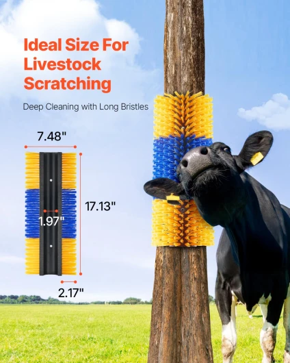 71MrllefGXL._SL1500_