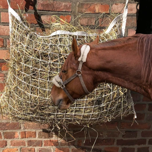 Filet à foin rectangulaire pour chevaux - Blanc - Maille serrée - 3 x 3 cm - Pour une durée de nourriture prolongée - 70 cm x 80 cm - Poids de remplissage : 4,5 kg