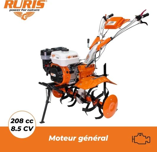 81RqTG45aJL._AC_SL1500_