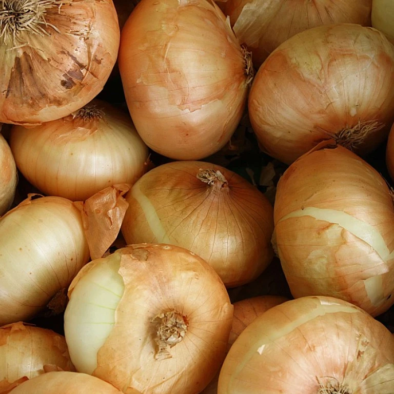 Optimiser l'utilisation du broyeur d'accotement pour une agriculture durable