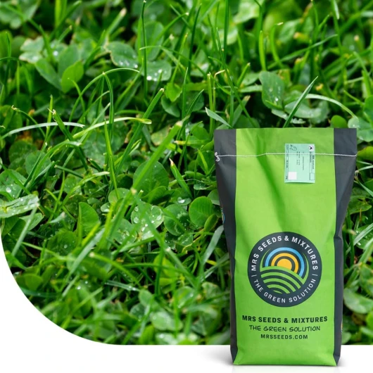 Clover Lawn: Semences de gazon avec micro trèfle - 1 kg - 50 m² - Pelouse luxuriante et durable - Résistance à la sécheresse - Nécessite peu d'entretien - Idéal pour les zones ombragées 1 kilogramme - 50 m²