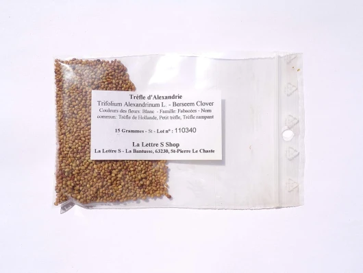 81YVprukX3L._AC_SL1500_