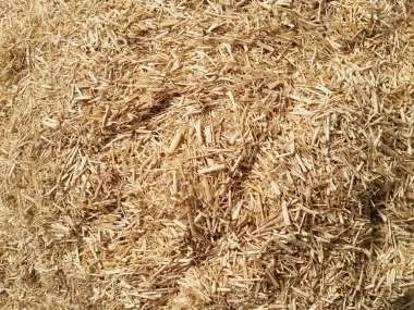 MGI DEVELOPPEMENT 15kg Fibre de Miscanthus Naturelle et Durable - Parfait pour Jardinage, Paillage et Bricolage - Made in France