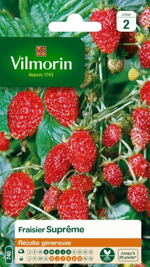 3585042 Pack de Graines Fraisier 4 Saisons Suprême