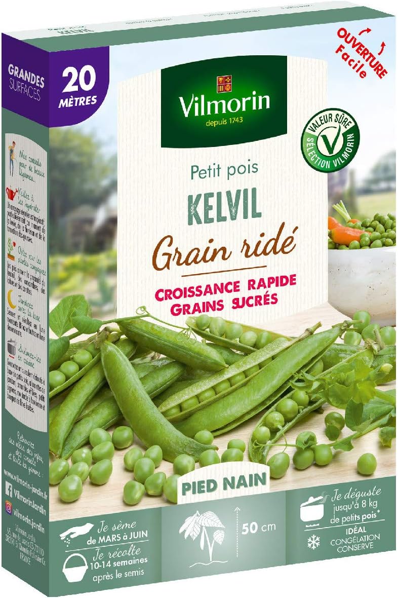 Graines de Pois nain à grain ridé Kelvil - 20 mètres