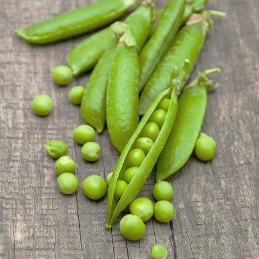Gondian - Graines de Pois Nain douce Provence - sac de 5 kgs