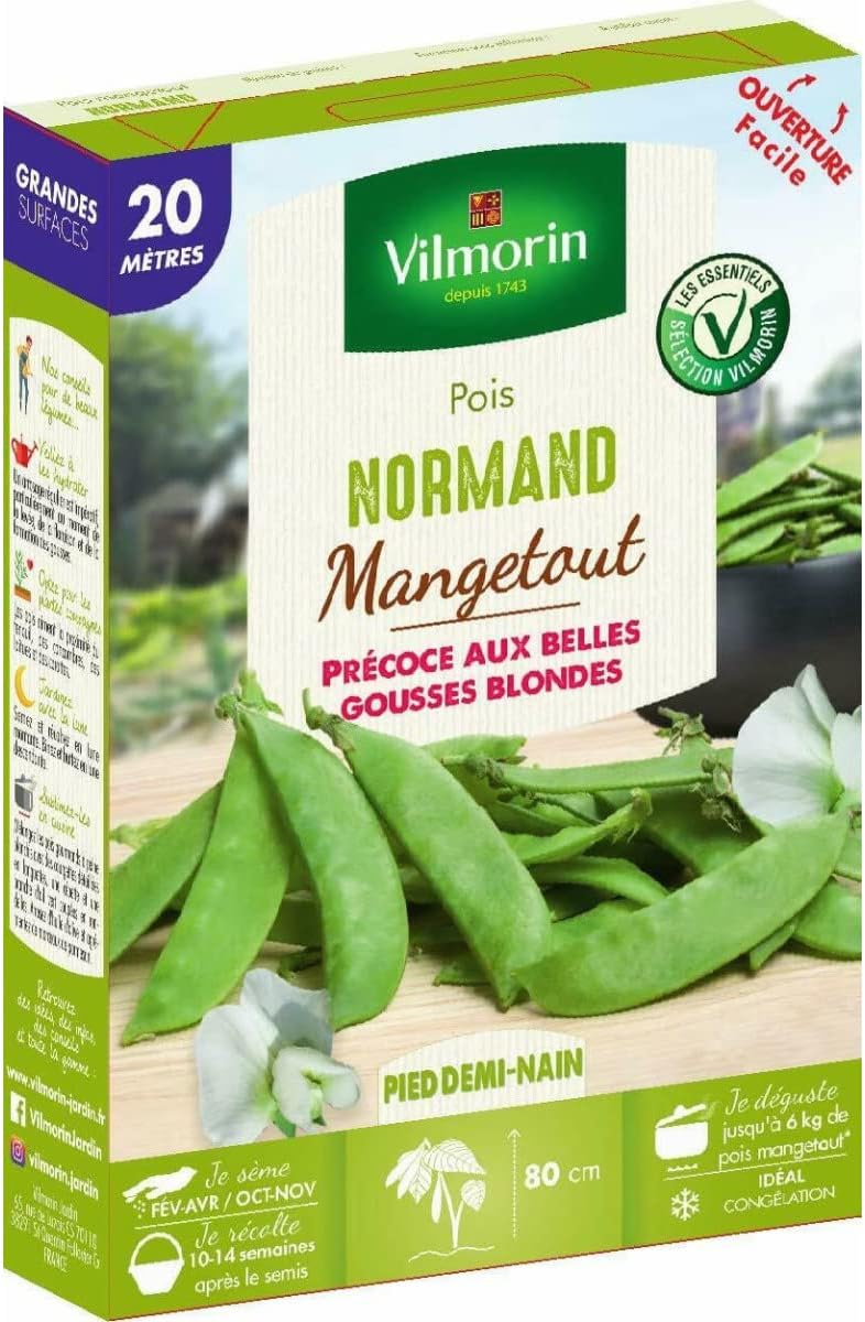 Vilmorin - Graines de Pois demi nain mangetout NORMAND- 20 mètres