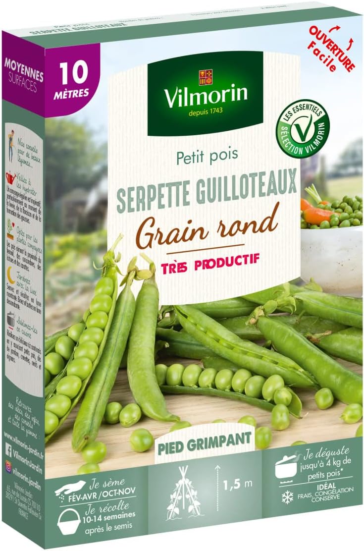 Graines de Petits Pois à Rame à grain rond SERPETTE GUILLOTEAUX - 10 mètres
