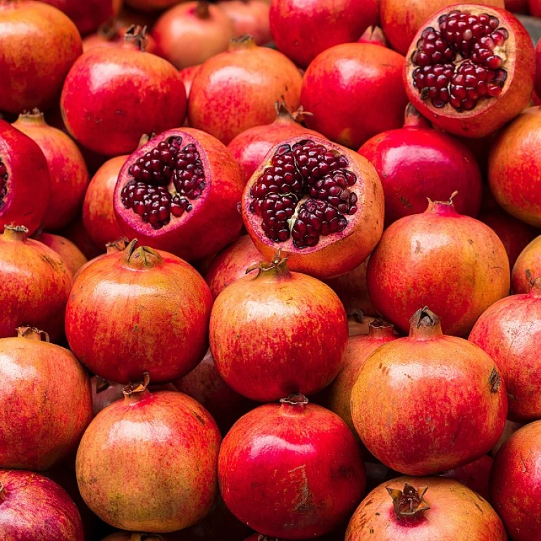 Comprendre le numéro d'exploitation agricole : un guide essentiel