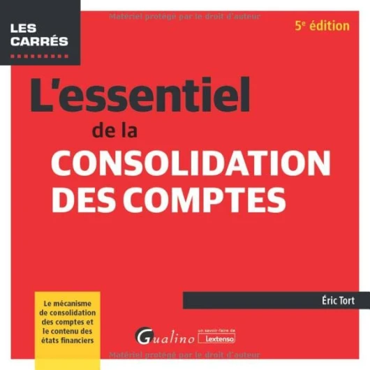 L'essentiel de la consolidation des comptes: Le mécanisme de consolidation des comptes et le contenu des états financiers