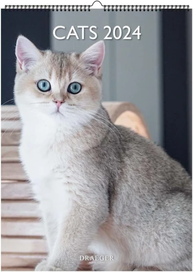 61x0rwby1zL._AC_SL1200_