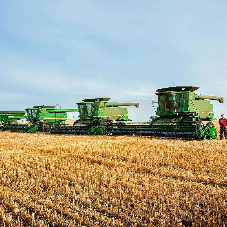Comprendre le numéro d'identification de l'exploitation agricole