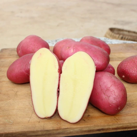 200 Graines de Pommes de Terre, Semences de Légumes à Croissance Rapide, Variétés Rouges et Violettes, Haute Récolte pour Jardin et Balcon