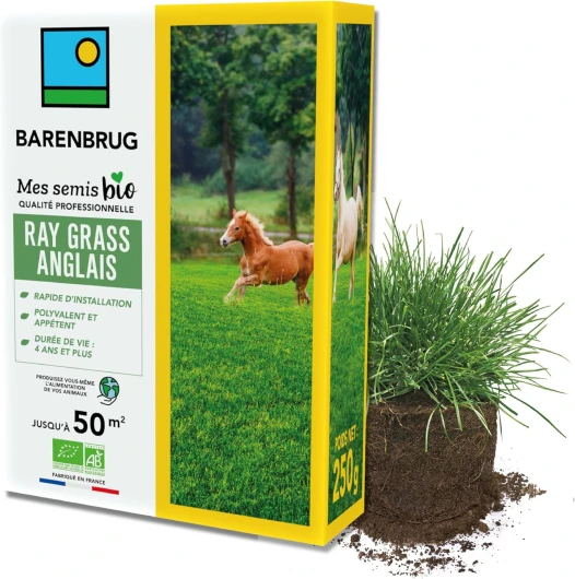 Ray-grass anglais BIO - Rapide d’Installation - Polyvalent et Appétent - Durée de Vie 4 ans et + - Production Alimentation pour Animaux - Fabriqué en France - 250G