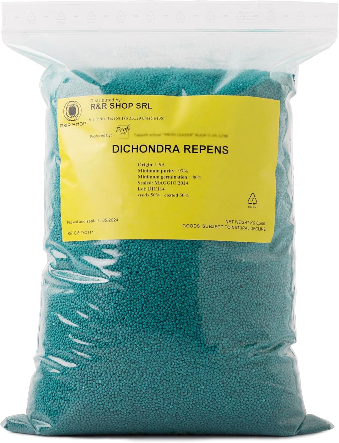 R&R SHOP - Semences À Gazon, Dichondra Repens, Origine USA, Résistantes Et Décoratives (900gr - 90mq)