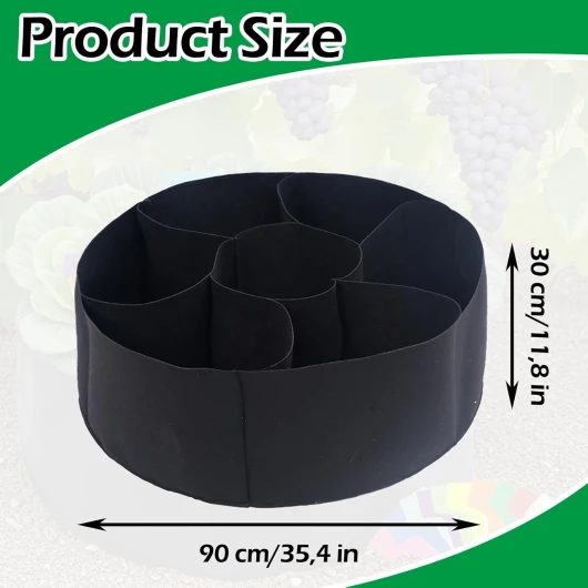 61xWC9Jp-xL._AC_SL1500_