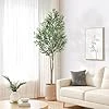 Oc'leaf Olivier Artificiel - 180cm Plante Artificielle, Grand Olivier, Décoration d'olivier pour la Maison, Salon, Chambre, Bureau, Jardin Oliva 180 cm
