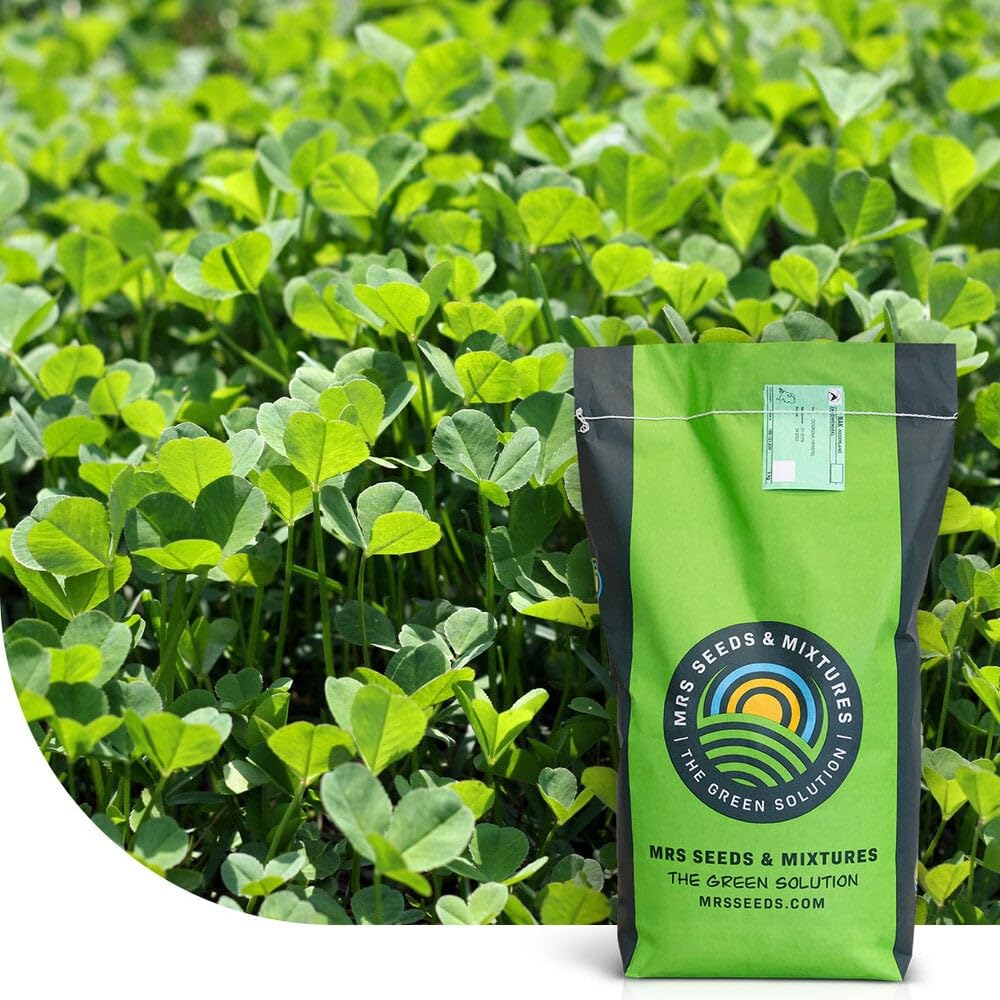 Micro trèfle - 250g - 75 m² - Résistance à la sécheresse - Pour une pelouse extra dense et verte sans mousse - Une libération lente et continue d’azote - Faible besoin en entretien 250 grammes