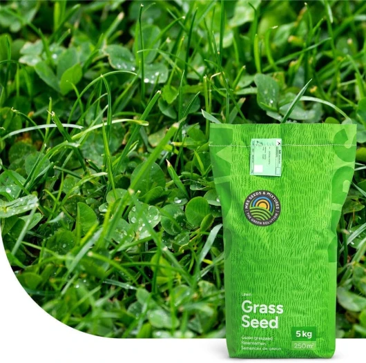 Clover Lawn: Semences de gazon avec micro trèfle - 1 kg - 50 m² - Pelouse luxuriante et durable - Résistance à la sécheresse - Nécessite peu d'entretien - Idéal pour les zones ombragées 1 kilogramme - 50 m²