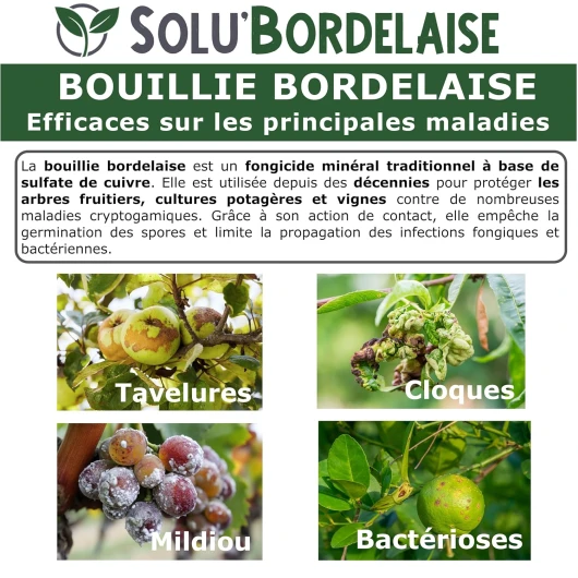 91FoQtHb1fL._SL1500_