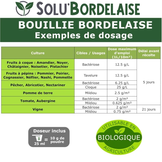 81L f5QbXXL._SL1500_