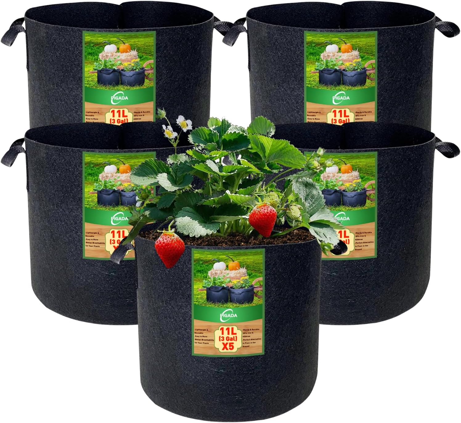 PIGADA Lot de 5 Sac de Plantation Non Tissé 11L avec Poignées et 15 Étiquettes Sacs à Plantes de Tomate Pots pour Plantes, Fleurs, Fraises,3 gallons 5x 11 L - (3 Gallons)