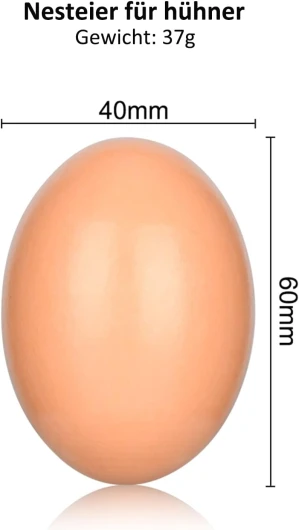 51Tg3FNqn L._AC_SL1500_