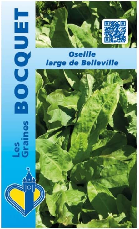 Sachet de graines de Oseille large de Belleville - 3 g - légume feuille - LES GRAINES BOCQUET
