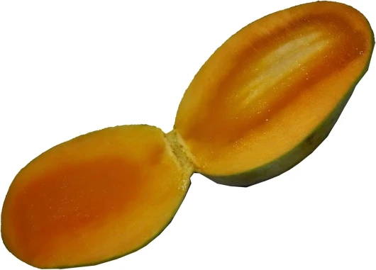 51 4UEDIyNS._AC_SL1500_