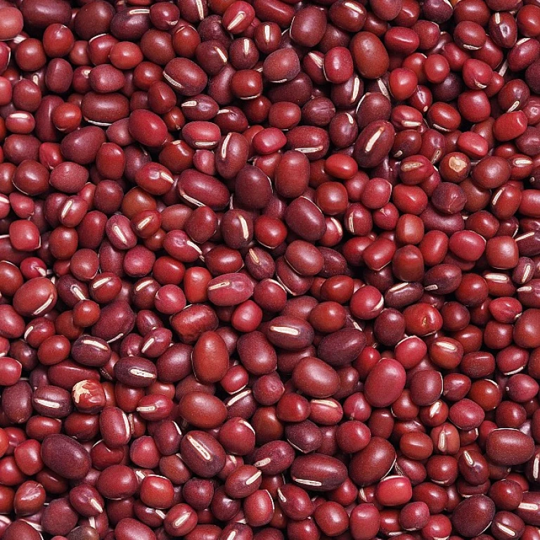 Le coût de l'ananas Victoria : une analyse approfondie